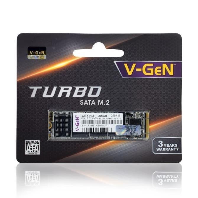 Four- V-Gen Ssd M.2 256Gb / Ssd 256Gb