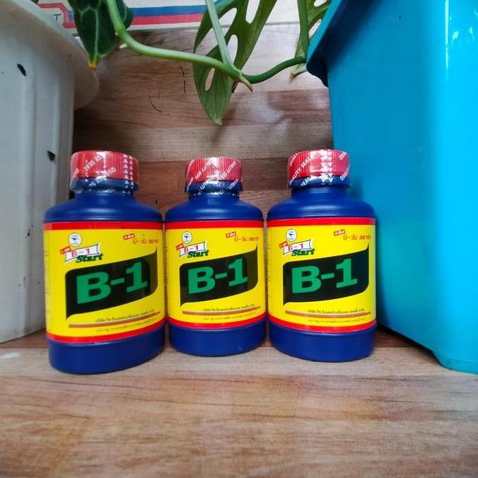vitamin tanaman dan akar B1 thailand original