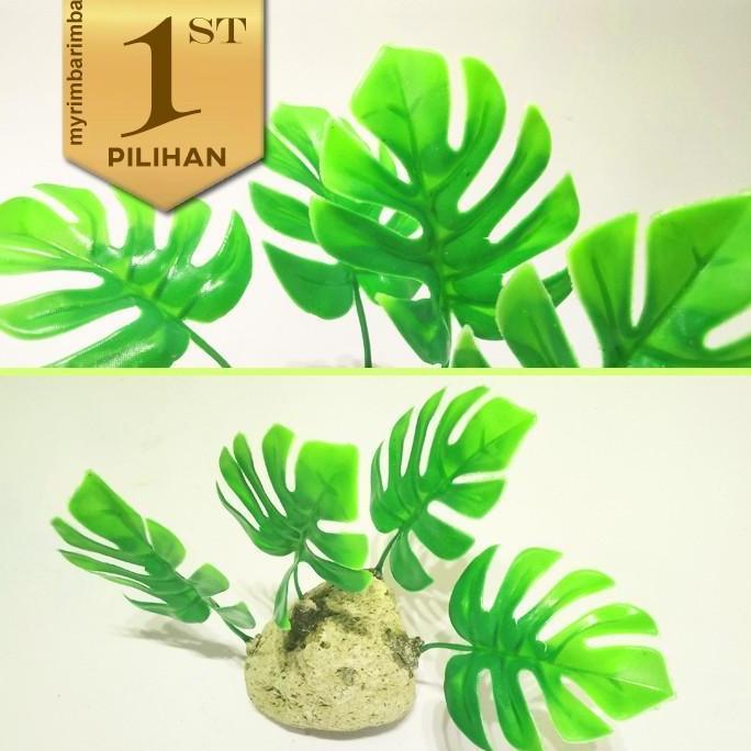 Paket 5 Tanaman Plastik Monstera Mini Hiasan Aquarium Aquascape Ikan Hias