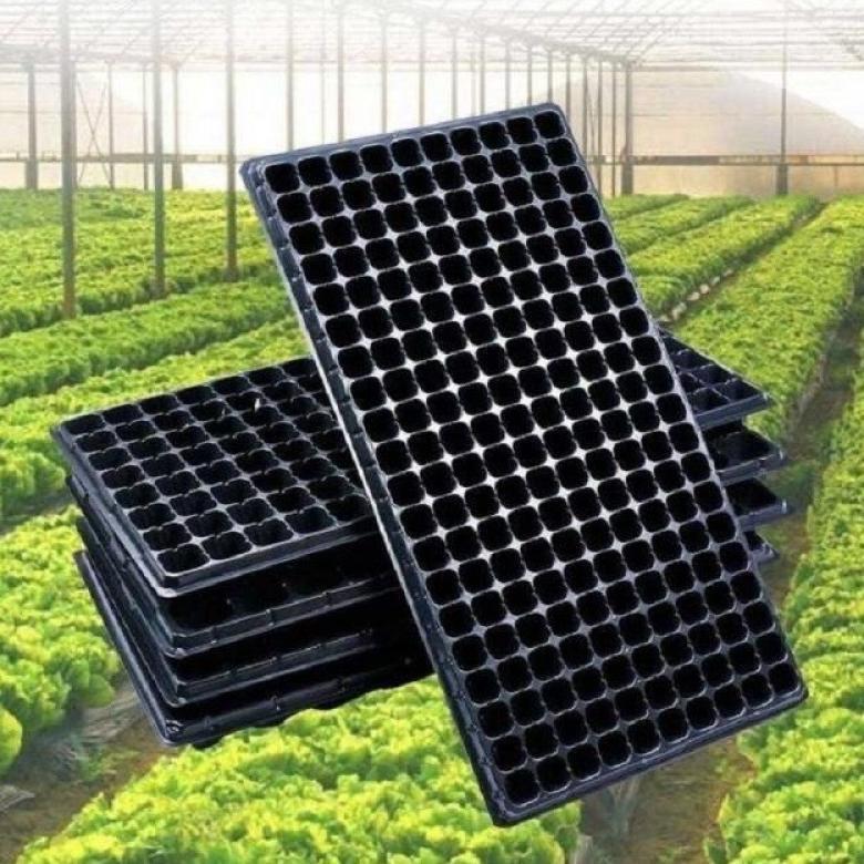 Promo Cod 10/20 Pcs Tray Semai Pot Tray Penyemaian Bibit Tanaman Tray Semai Trai Semai With Holes No