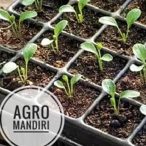 Promo Cod Pot Tray / Tray Semai / Seed Tray / Pottray 200 Lubang Bibit Merk Bell ><