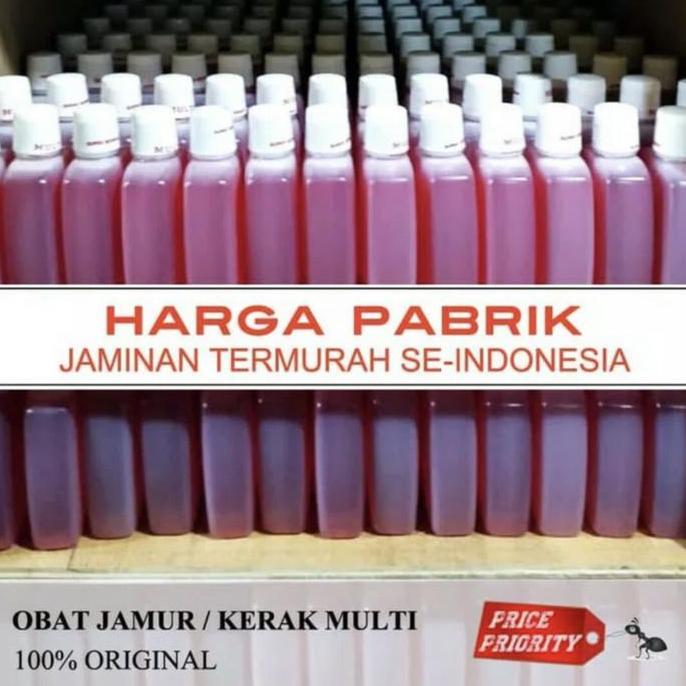 Obat Pembersih Jamur Kaca Mobil Multi Ampuh