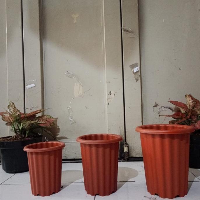 Promo Cod Pot Tinggi Model Yogap, Pot Swiss Warna, Pot Bunga Tinggi, Aglonema ><