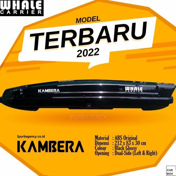 Whale Roof box Kambera