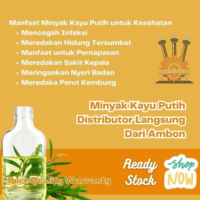 Cajuput Oil Asli Pulau Buru Maluku 100Ml / Minyak Kayu Putih Best Quality 100% Murni / Varian Eucaly