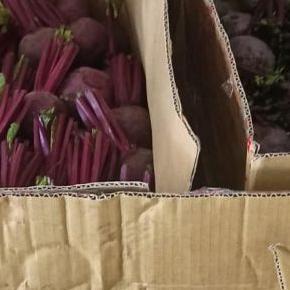 Buah Bit 1 Kg Beet Root Batu Malang  Fresh Langsung Dari Kebun / Free Packing Kardus