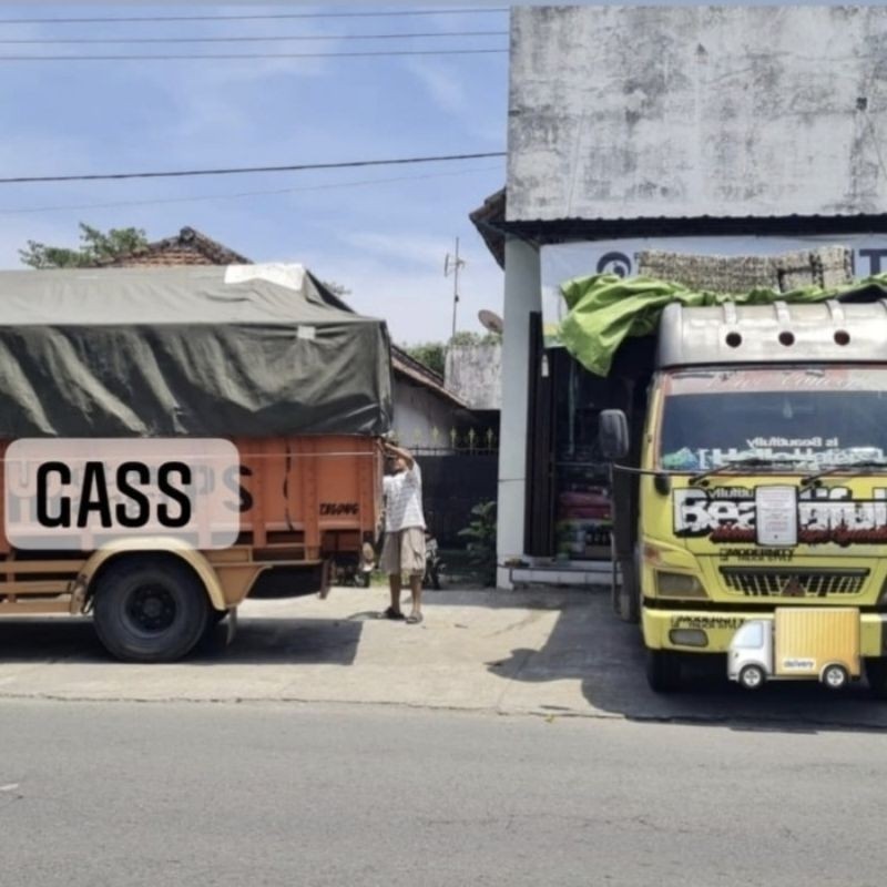 Cyromas 1% Plus 1Kg Obat Pengendali Larva Lalat Anti Lalat Dan Pengering Penghilang Bau Kotoran Pete