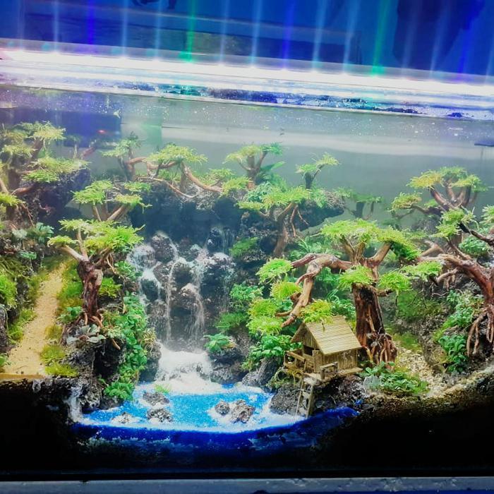 aquascape fullset tank bending recent