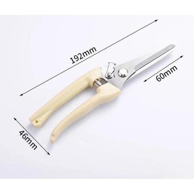 Huayuan- Gunting Dahan Ranting Pruning Alat Potong Dahan Ranting Stek Pruning