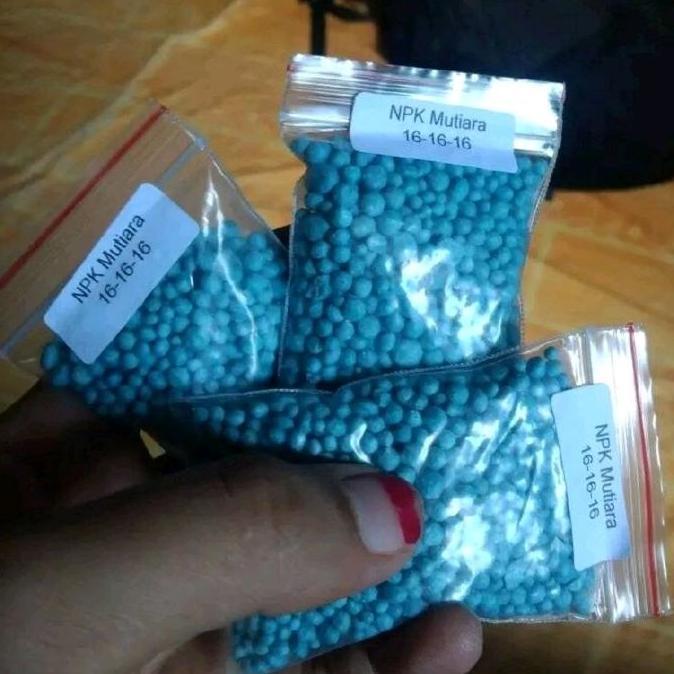 [COD] PUPUK NPK 16.16.16 COCOK UNTUK BIBIT TANAMAN REPACK TERBAIK