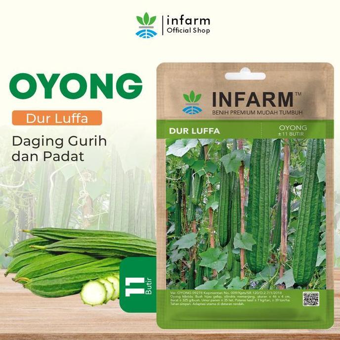 INFARM - Benih Buah Oyong Hibrida Durluffa, Bibit Buah Oyong Unggul Bibit Sayuran Oyong Super
