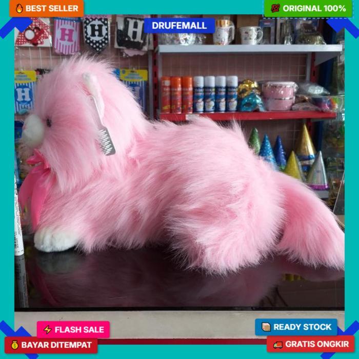 Boneka Kucing Persia Anggora Free Sisir Terlaris