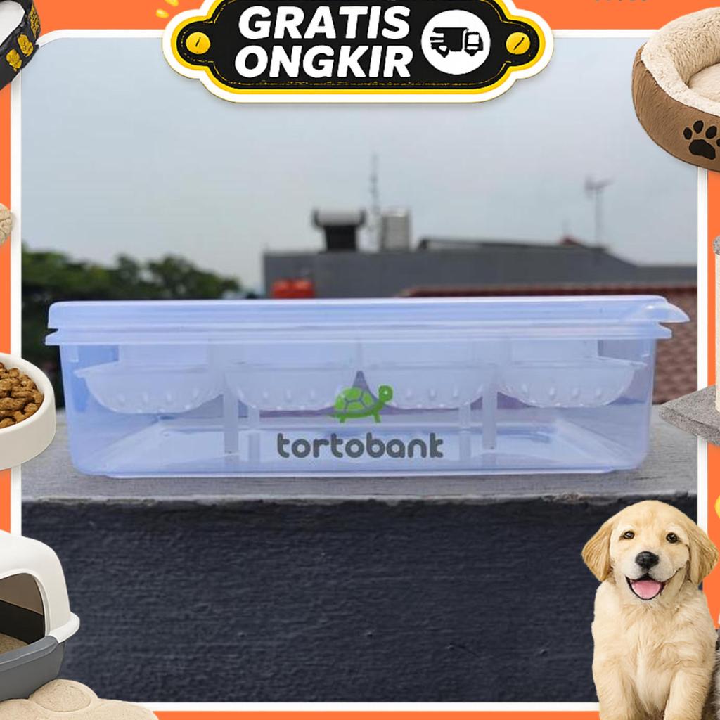16 Tempat Telur Reptil - Reptile Egg Box - Reptil Egg Incubation Box