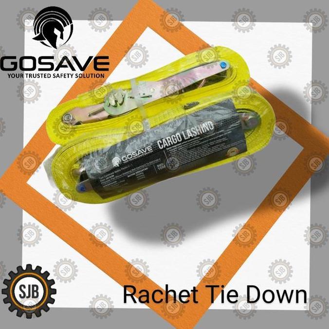 ratchet tie down 5 ton 10 meter Gosave