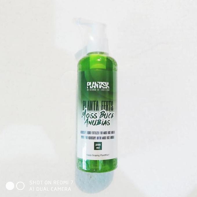 Planta Ferts Moss Buce Anubias 250ml Plantasia