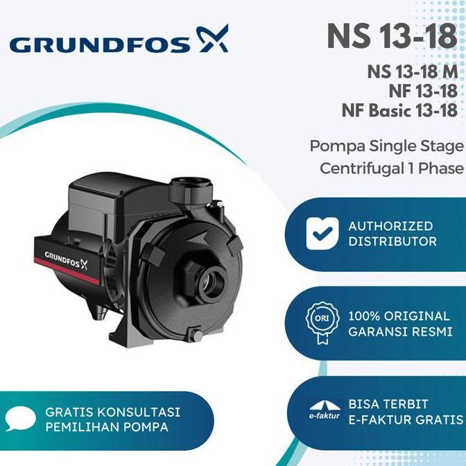 Single Stage Centrifugal Grundfos NS 13-18