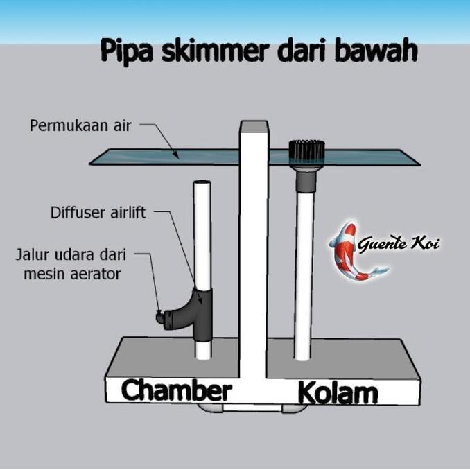 Mumpungready- Diffuser Airlift Skimmer Kolam Koi Inch