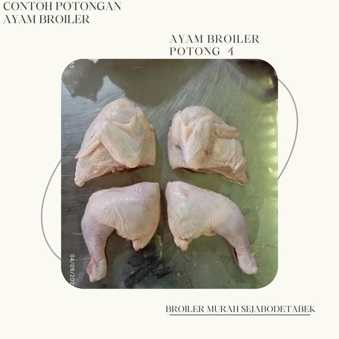 Carne- Ayam Broiler Frozen Ukuran 900 Grm/Frozen/Ayam Negri Frozen/Daging Ayam Karkas