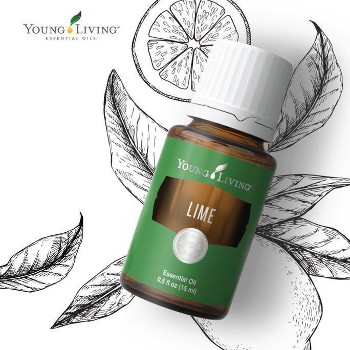 SEGEL young living lime 15ml essential oil essentials original oils