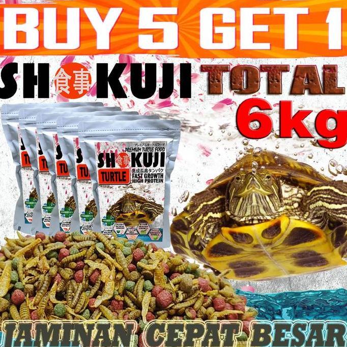 TERMURAH - SHOKUJI TURTLE FOOD PAKAN KURA RES BRAZIL CST AST ALIGATOR PELET MAKANAN KURA-KURA AIR AM