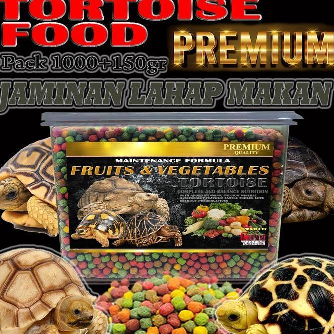 TERMURAH - Makanan pakan premium tortoise kura-kura darat sulcata hermani torto food
