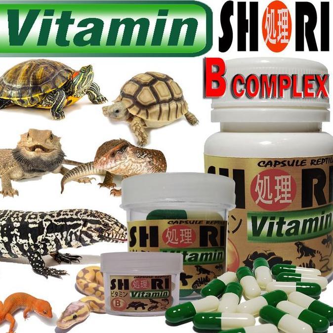 SHORI VITAMIN KAPSUL OBAT SUPLEMEN REPTILE GECKO BD ULAR KURA SULCATA PARDALIS TURTLE BIAWAK IGUANA 