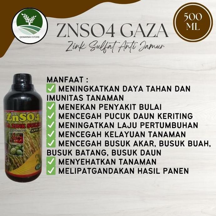 Pazx- Obat Busuk Mati Pucuk Kelapa Sawit Paling Ampuh - Obat Busuk Daun Hitam Sawit -Znso Gaza - Pup
