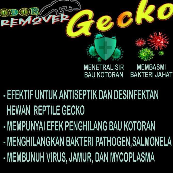 GECKO ODOR REMOVER ANTISEPTIK KANDANG LEOPARD GEKO TOKEK GEKKO WHELEERI CRESTED AFT TOKEK PET DISINF