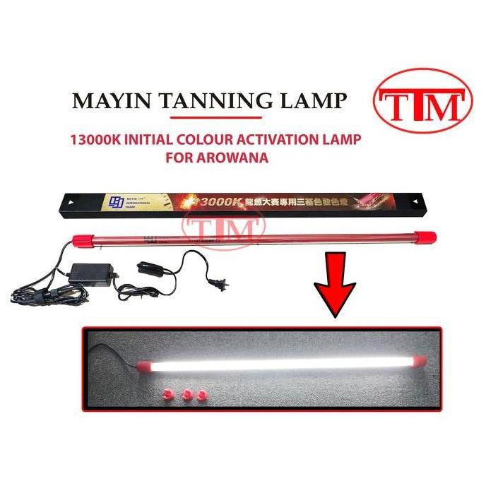 LAMPU TANNING 92CM MAYIN T5 13000K LAMPU PENCERAH WARNA IKAN ARWANA