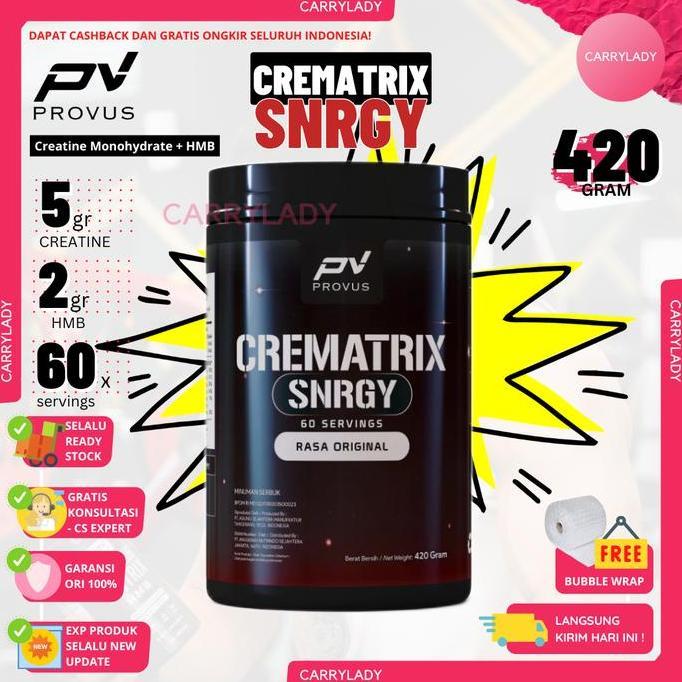 Provus Creatine Matrix Hmb 420 Gram 60 Serving Creatin Monohydrate Cre Kreatin Suplemen Gym Fitness