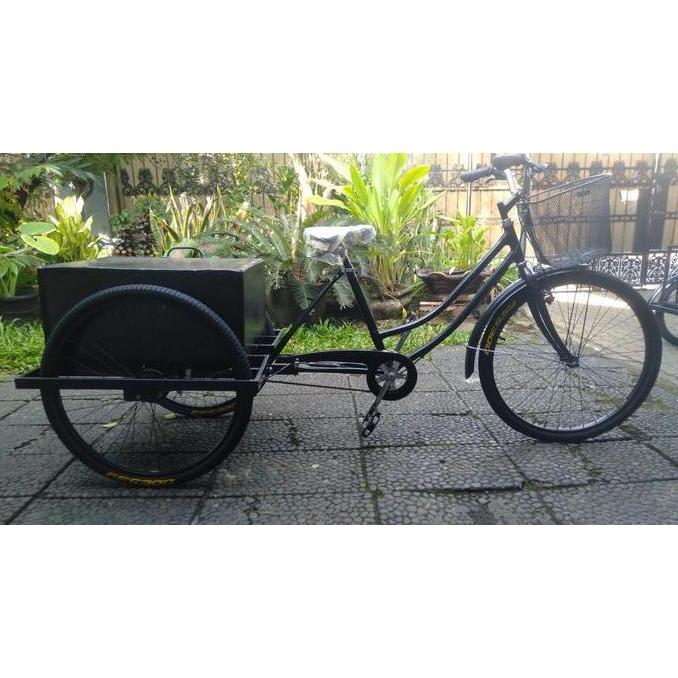 Terlaris Sepeda Roda Tiga Dewasa Cargo Box