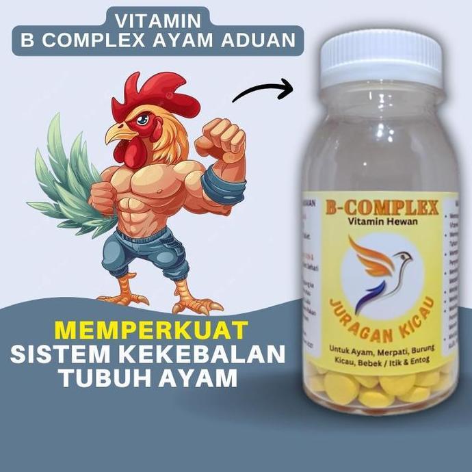 Vitamin B Complex Ayam Aduan Untuk Memperkuat Sistem Kekebalan Tubuh Allshop