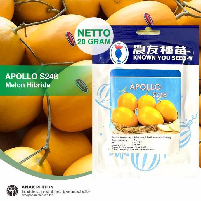 (1 PACK - 20 GRAM) Benih Melon Premium APOLLO Golden Hibrida Seeds murah