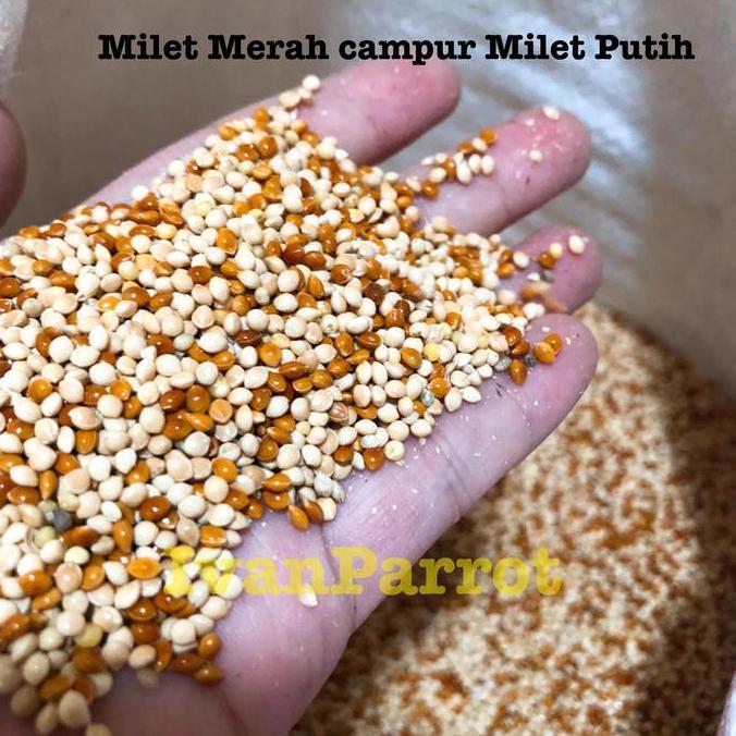 MILET MERAH CAMPUR MILET PUTIH 1KG