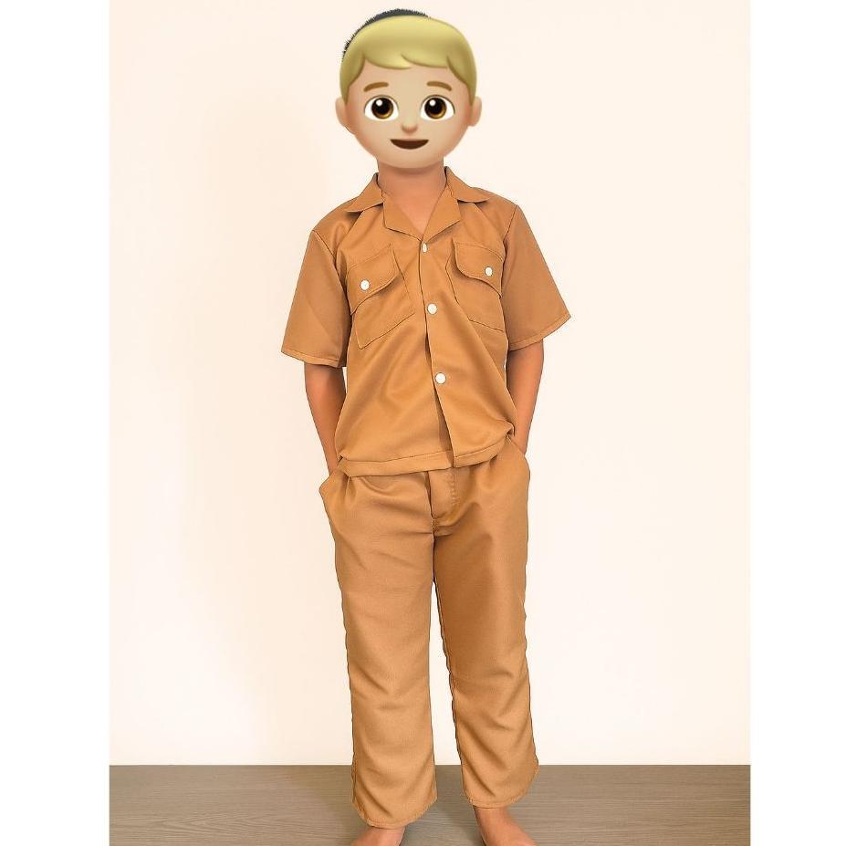 Discount Baju Pns Pemda Guru Laki-Laki Bayi Tk Sd/Seragam Pns Anak/Kostum Asn Anak/Kostum Pnsanak/Ko