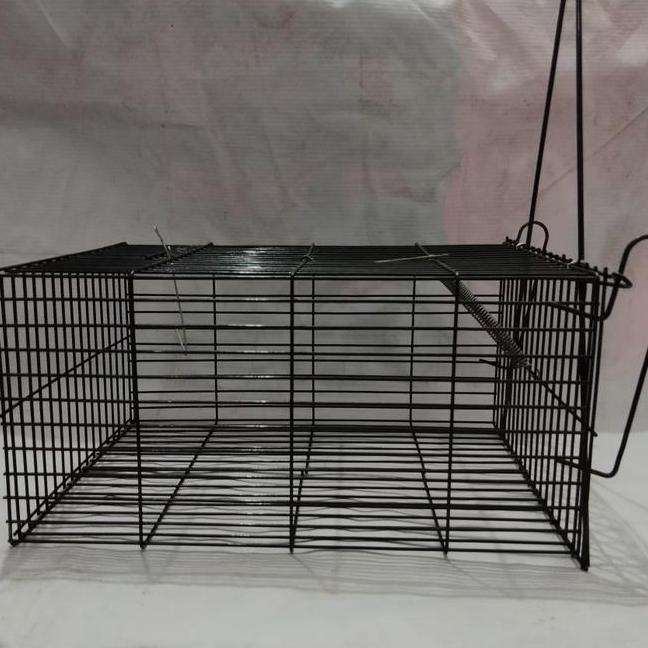 Perangkap Tikus Ukuran Besar Jebakan Tikus Besar Kurungan Tikus Kawat Besi