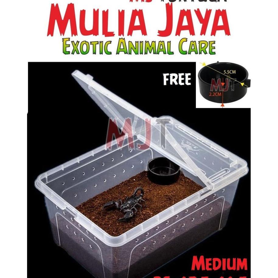 Kandang Tarantula Enclosure Tarantula Box Reptil M 26X17.5X11.5Cm Iguana Kura Gecko Bd Nomoy H4