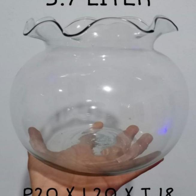 Aquarium Bulat Kaca 3.7L Aquarium Hias Aquarium Cupang Aquascape