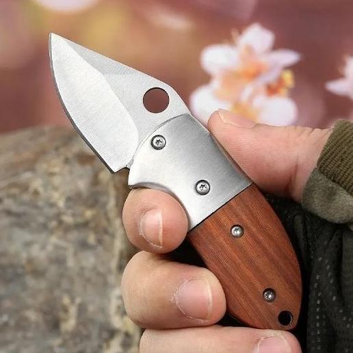 BIG PROMO POCKET KNIFE PISAU SAKU LIPAT PISAU LIPAT MINI PISAU CAMPING GAGANG KAYU