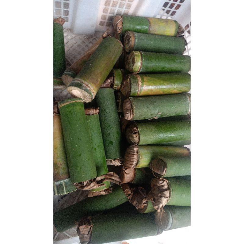 Umpan Pancing Ulat Bambu Hidup Isi 30