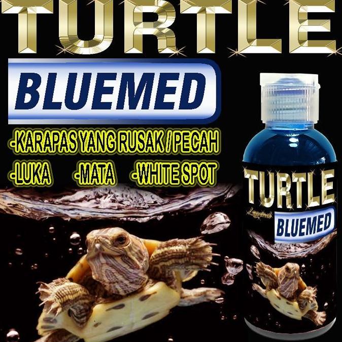TURTLE BLUEMED MENGOBATI KERAPAS KURA-KURA AIR PECAH BERJAMUR BINTIK PUTIH WHITE SPOT INFEKSI KULIT 