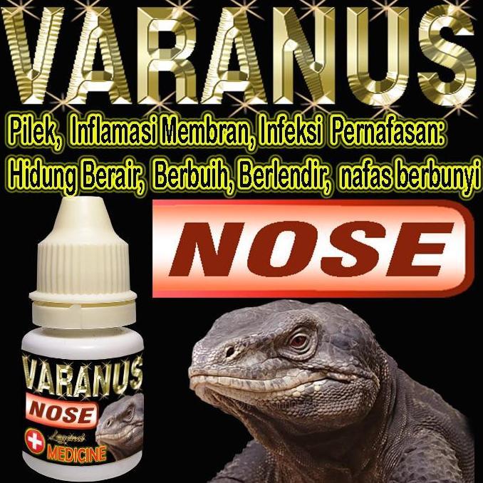VARANUS NOSE MENGOBATI PENYAKIT INFEKSI PERNAPASAN REPTIL INFLAMASI MEMBRAN OBAT PILEK LIZARD HIDUNG