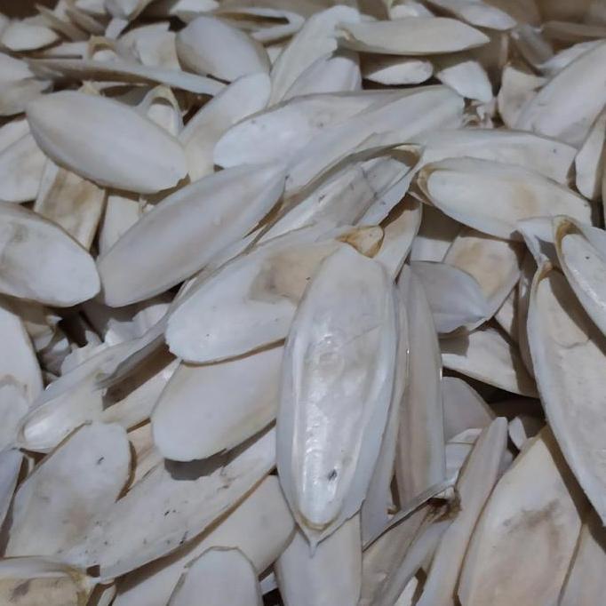 SOTONG KERING PAKAN BERKALSIUM / KALSIUM BURUNG DAN HEWAN LAINNYA BEST PRODUK