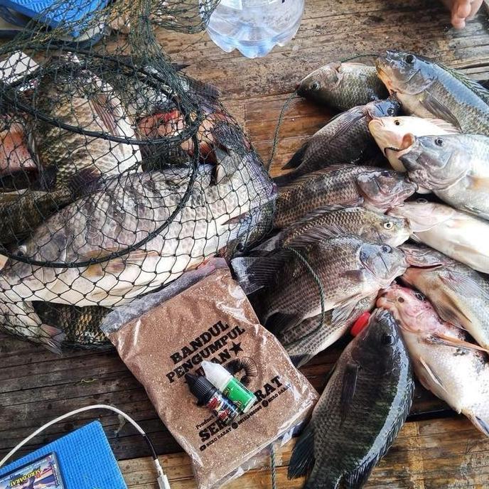 Pesca- New- Essen Sero Darat Special Lumut 10 Ml