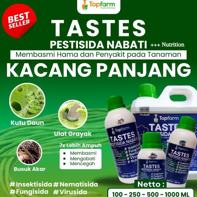 Dreamlict- Pestisida Untuk Pohon Kacang Panjang / Pestisida Khusus Tanaman Kacang Panjang / Pestisid