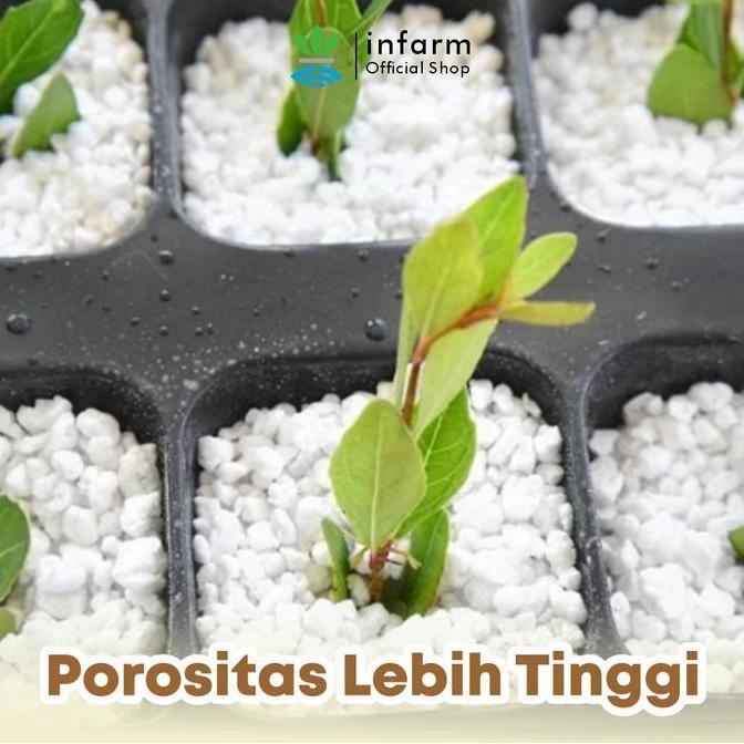 Infarm - Media Tanam Perlite 1 Liter Media Tanam Perlite Premium  Ringan, Steril, Kaya Porositas, An