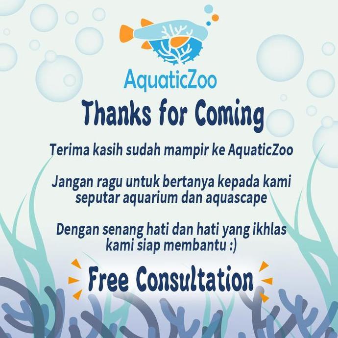 Mycats- Kandila Surface Skimmer Kd-350Z Kd350Z Kd 350 Z Aquascape Filter