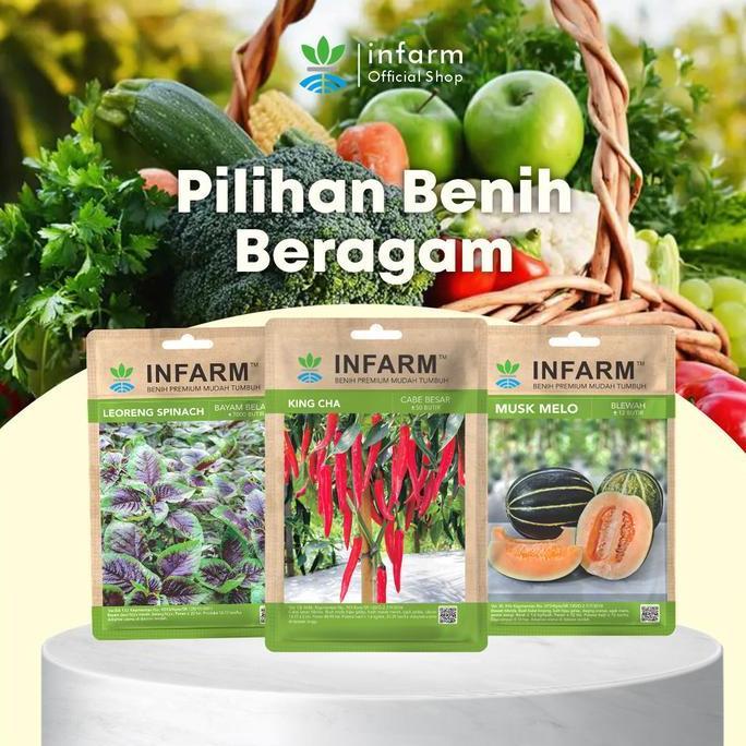 Infarm - Benih Cabai Merah Besar King Cha, Benih Unggul Cabe Merah Besar Bibit Super Cabe Merah