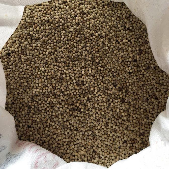 Pilihan - Lada Putih Butir 1 Kg / Merica Butir