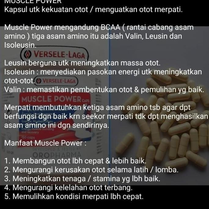 VERSELE LAGA MUSCLE POWER CAPSUL UTK MERPATI BALAP VITAMIN OTOT BURUNG